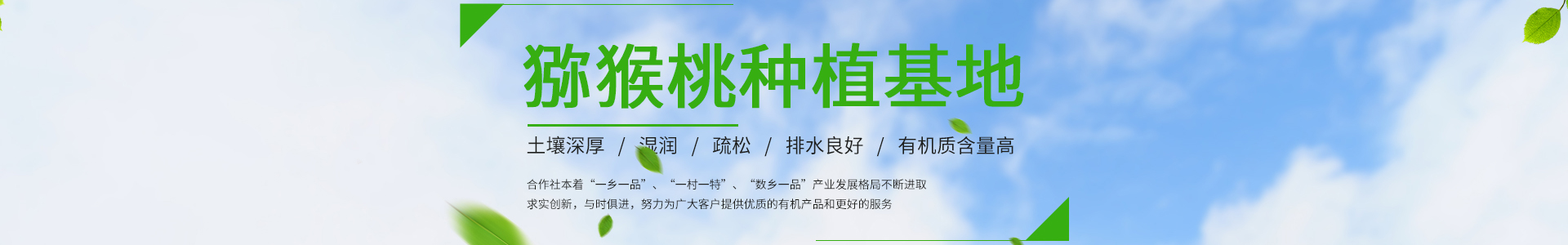 奇异果体育·(中国)官方网站-IOS/安卓通用版/手机APP下载